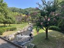 比奈地ダムすぐ下の親水公園