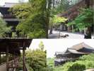 美しい京都の青もみじの名所。南禅寺/東福寺/清水寺 心癒される青もみじめぐりはいかがでしょうか?