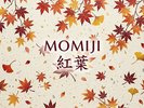 離れ茶室造り「紅葉」のお部屋ご案内