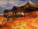 秋の夜の清水寺の様子