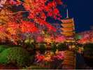 京都の秋の夜景の様子