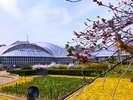 京都府立植物園。静かな環境で外来種を含む多様な植物を展示する広大な植物園です。