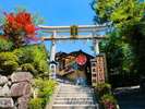 地主神社縁結びの神を祀る地主神社。恋愛成就を願う人たちが訪れる一対の「恋占いの石」があります。