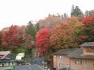 烏帽子山の紅葉の様子