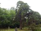双松公園