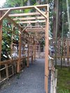 日本3熊野の一つ熊野大社の夏の風鈴