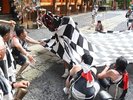 熊野大社例大祭は、毎年7月24、25日に開かれ、24日の夜祭は出店が多く立ち並び、人々で賑わいます。