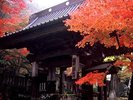 鶴布山 珍蔵寺は、「「鶴の恩返し」にまつわる織物がが寺の宝にされていたという言い伝えあるお寺です。