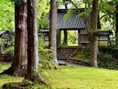 【周辺観光】「中尊寺 大長寿院」境内の奥には、天然記念物指定のモミの木や百日紅もございます。