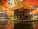 【周辺観光】「中尊寺 弁財天堂」池に囲まれたお堂は、紅葉時期は更に美しい姿を見せます。
