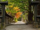 【周辺観光】「中尊寺」新緑から紅葉に映ろう季節。