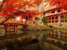 【周辺観光】「達谷窟毘沙門堂」紅葉の見頃は、例年10月中旬〜11月中旬です。