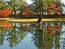 【周辺観光】「毛越寺」毛越寺大泉が池の中でも東南岸にある荒磯風の出島は、庭園中最も美しい景観の一つ。