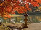【周辺観光】「毛越寺」紅葉の見頃は、例年10月下旬〜11月上旬です