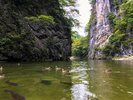 【周辺観光】「猊鼻渓」水面を跳ねる川魚、鳥類など。四季折々の風情を楽しめます。