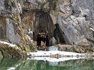【周辺観光】「猊鼻渓」毘沙門天が祭られている鍾乳洞。乗船しながらお賽銭を投げることができます。