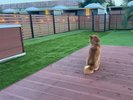 �h�D�J�[���O�������]�[�g�ЊL�V�[�T�C�h �h�b�O����