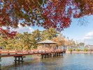 九華公園(秋)【写真提供:桑名市観光協会】
