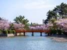 九華公園【写真提供:桑名市観光協会】