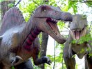 スピノサウルス×ティラノサウルス(2)