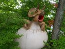 トリケラトプスの赤ちゃん(1)