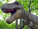 ティラノサウルス(2)