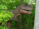 カルノタウルス(2)