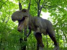 ティラノサウルス(1)
