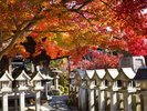 朝護孫子寺