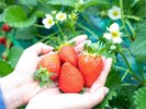 信貴山のどか村