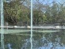 大浴場内風呂