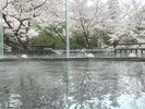 大浴場内風呂