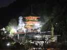 ナイトウォークツアー(土・日・月曜日実施)