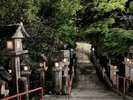 ナイトウォークツアー(土・日・月曜日実施)