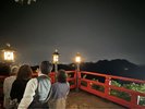 ナイトウォークツアー(土・日・月曜日実施)