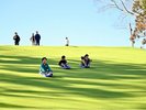 アクティビティ「芝すべり」