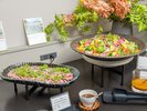 【朝食ビュッフェ】