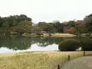 ■六義園【徒歩9分!】