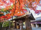 【当館から車で約15分】唐澤山神社