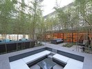【2階 中庭竹林】竹林ではソファーやハンギングチェアもご用意しておりますので、お寛ぎいただけます。