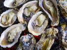 【唐泊恵比寿かき】玄界灘の荒波で育った牡蠣は冬の福岡名物。糸島のかき小屋は大人気!※写真提供:福岡市
