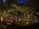 【中庭】日没後、益子焼の陶片を使用したライトアップを中庭で毎晩開催しています。