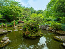 四季折々の自然に彩られる庭園。春には桜、初夏にはホタルとアジサイ、秋には紅葉が楽しめます