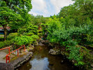 四季折々の自然に彩られる庭園。春には桜、初夏にはホタルとアジサイ、秋には紅葉が楽しめます
