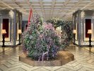 ロビー装花 Early Spring2025