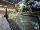 【女性大浴場◆露天風呂】温度41℃〜42℃