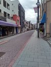 �̂Ȃ���̕��͋C���c�鋌���C��