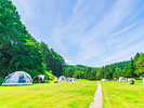 FOREST SIDE�G���A