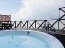 101(�q���I�V���C)