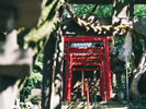 周辺・景観